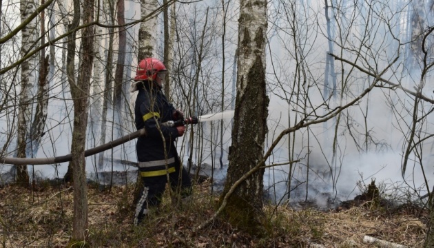 Brände in der Oblast Schytomyr: Löscharbeiten dauern an