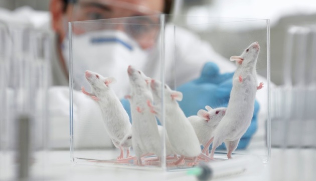 Aujourd’hui marque la Journée Mondiale des animaux dans les laboratoires