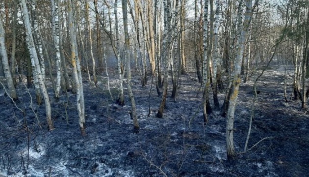 У Польщі шостий день гасять пожежу у національному парку