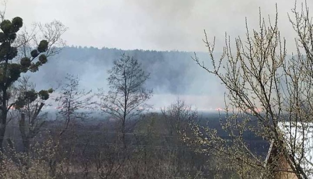 На Київщині горять 20 гектарів трави та очерету, вогонь знищив два будинки
