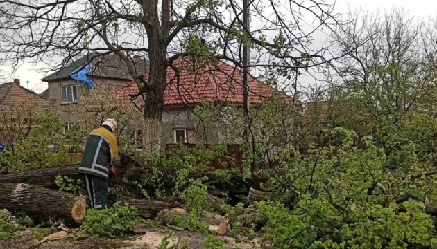 Негода знеструмила 11 сіл на Закарпатті