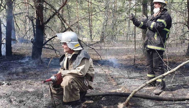 На Житомирщині ліквідували лісову пожежу, під Чорнобилем – досі тліє трава