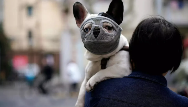 Вчені створили ресурс з прогнозами закінчення пандемії для 87 країн світу