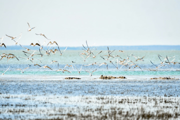 Russland hat keine Schiffe im Schwarzen Meer und im Asowschen Meer 