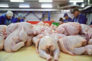 Україна буде підстраховувати світовий ринок поставками м'яса - Косюк