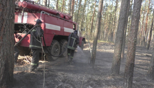 Лісові пожежі у Житомирській і Київській областях локалізовані 