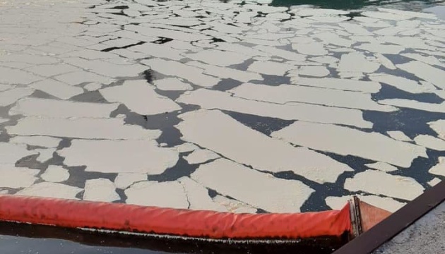 Екоінспекція оцінила збитки від забруднення пальмовою олією у порту Південний