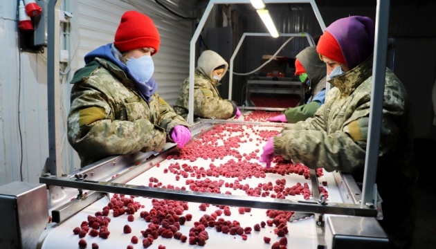 Українські фермери готові платити сезонним робітникам у півтора раза більше, ніж іноземні