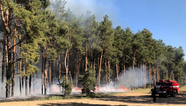 На Миколаївщині одразу в трьох районах підпалили ліс