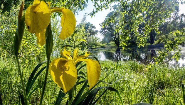 18 травня: народний календар і астровісник 