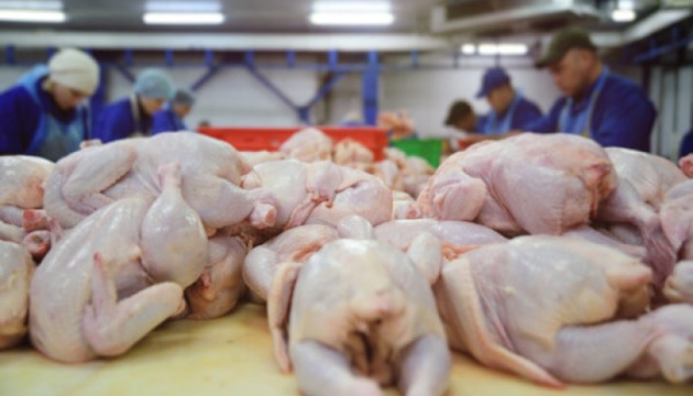 Україна буде підстраховувати світовий ринок поставками м'яса - Косюк