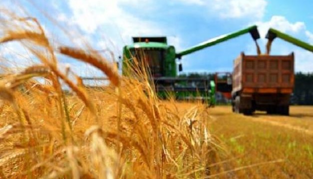 Ukrainian farmers gather over 60.5 mln tonnes of main crops