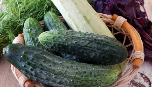 В Україні знову зросли ціни на кабачки і огірки 
