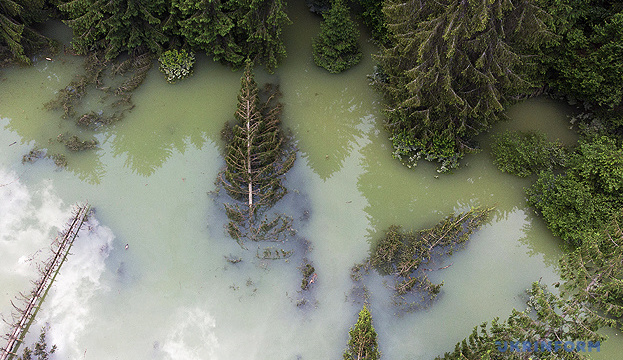 У західних областях знову прогнозують підйом води в річках