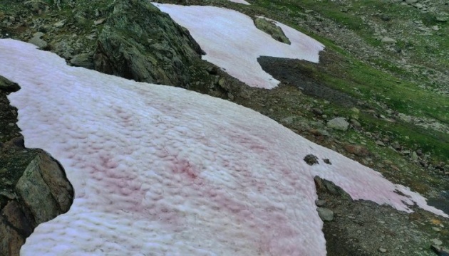 В Альпах з'явився рожевий лід - це може мати тяжкі наслідки для клімату