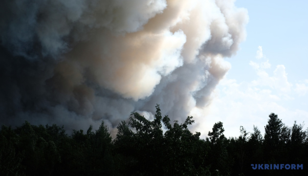 W obwodzie ługańskim pożar pochłonął 5000 hektarów - szef regionalnej administracji państwowej