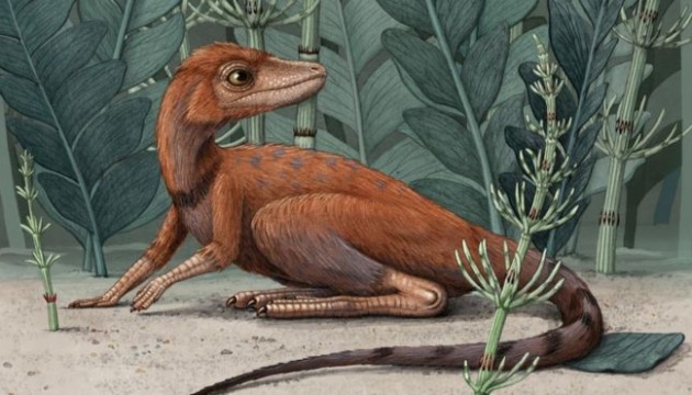 На Мадагаскарі знайшли залишки крихітного предка динозаврів