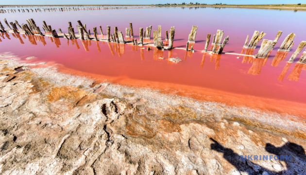 Рожевим озером на Херсонщині можна насолодитися онлайн в режимі реального часу