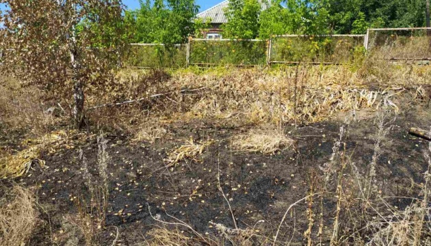 На Харківщині під час пожежі сухої трави загинула жінка