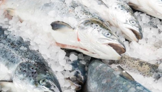 Ucrania exporta más de 191 toneladas de pescado vivo y fresco durante cuatro meses 