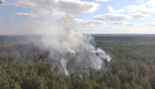 Пожежі на Луганщині: триває гасіння трьох осередків тління 