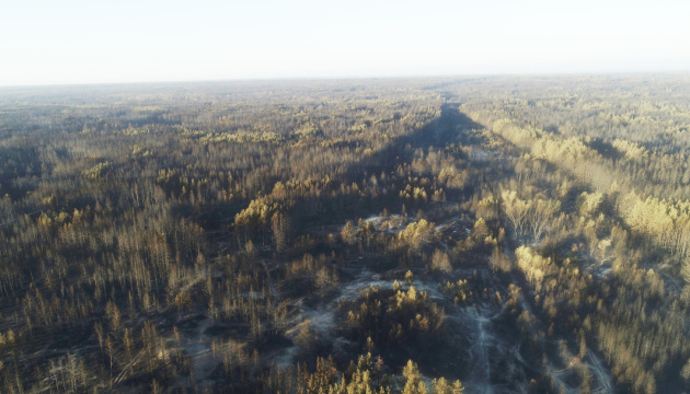 Гасіння лісової пожежі на Луганщині продовжується, відкритого вогню немає - ДСНС