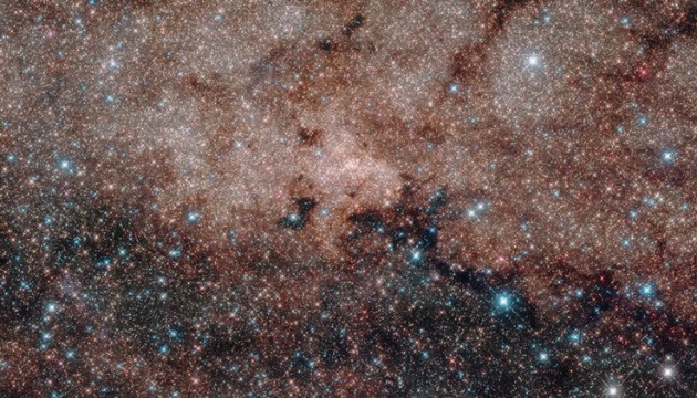 Un fotografo de Zaporiyia captura el cometa Neowise en el cielo nocturo  