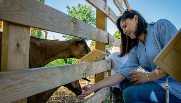 У селі на Кіровоградщині започаткували екскурсії козиною фермою