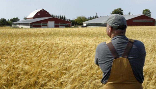 Economía: Podría haber hasta 10.000 granjas familiares para 2024