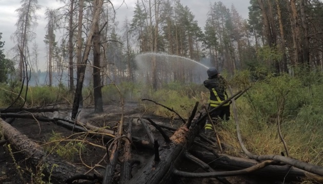Загрози населеним пунктам через пожежу на Луганщини немає - ДСНС