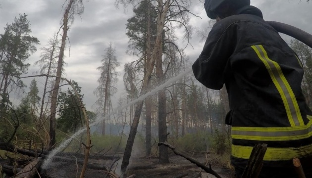 На Луганщині вогнеборці досі гасять лісову пожежу, яку спричинили обстріли