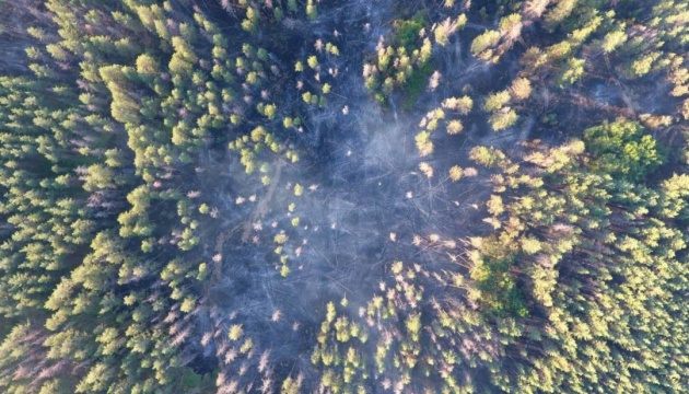 На Луганщині другу добу гасять лісову пожежу, спричинену обстрілом
