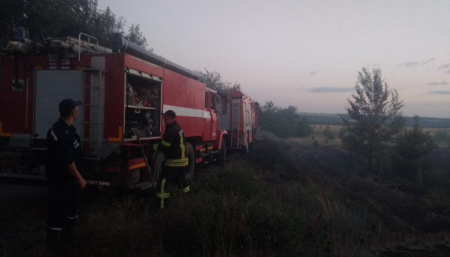 Лісову пожежу на Луганщині локалізували
