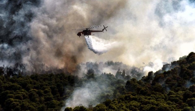 У Греції третю добу гасять масштабну лісову пожежу