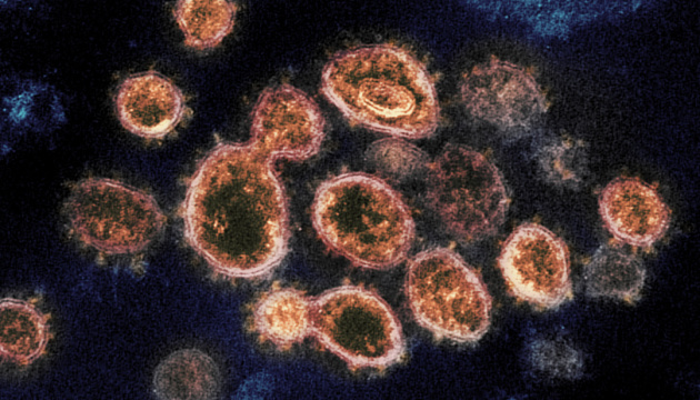 Британський мутований коронавірус дістався Канади