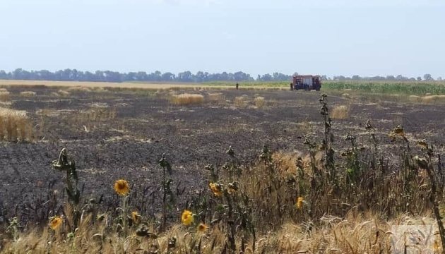 На Чернігівщині згоріли шість гектарів пшениці, підозрюють підпал 