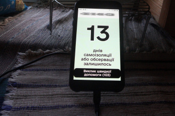 У Денісової перевірили мобільний застосунок «Дій вдома», порушень не знайшли