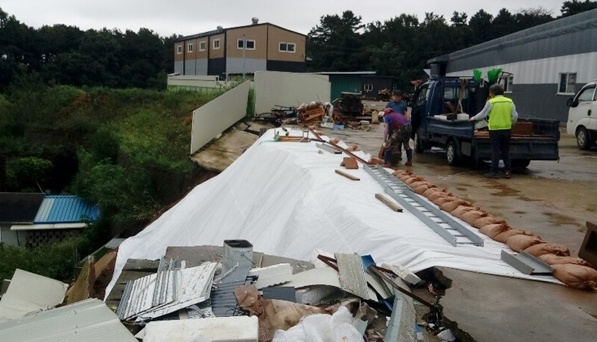 У Південній Кореї повені затопили поля, автодороги та залізниці, є загиблі