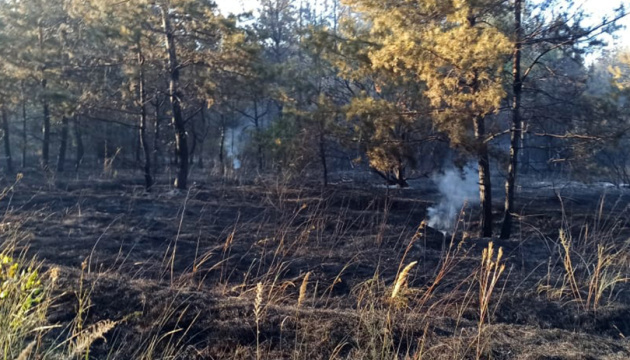 На Дніпропетровщині понад 12 годин гасили лісову пожежу