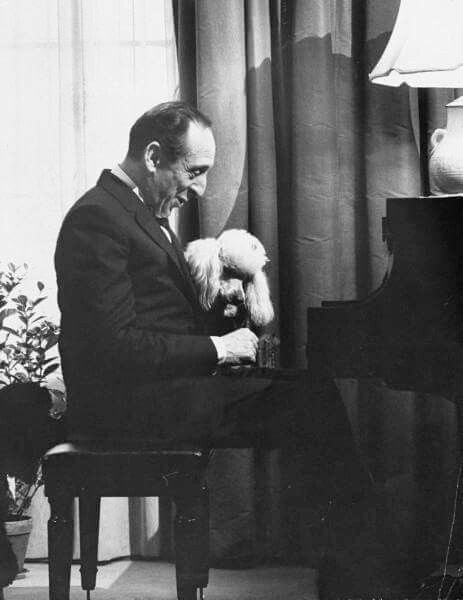 З улюбленим пуделем, 1965 р.