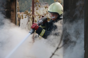 Wild fire in Kharkiv region contained – State Emergency Service