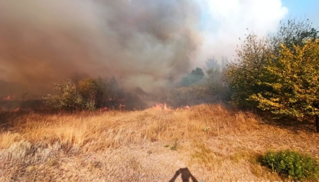 На Харківщині зупинили пожежу в селі, на яке вогонь перекинувся з лісу