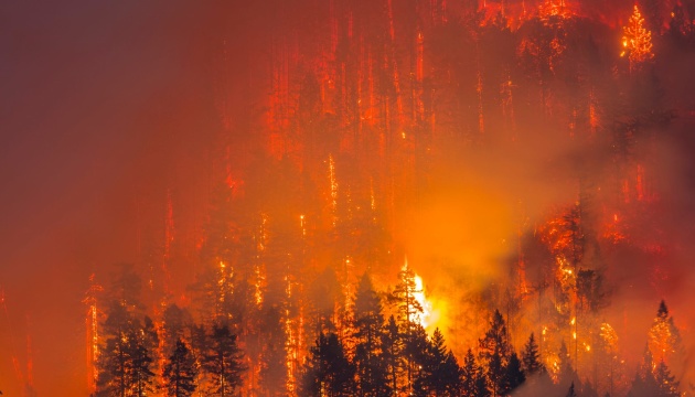 Лісові пожежі у США знищили тисячі будинків, 25 загиблих