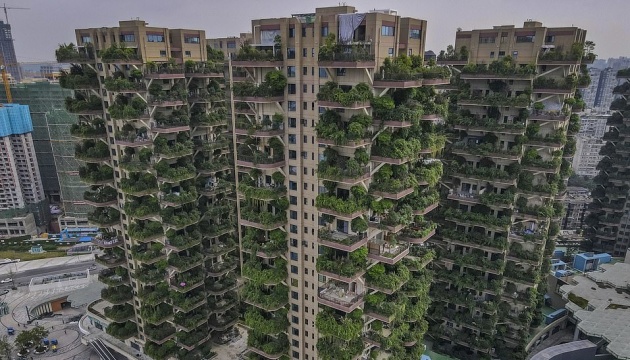 Китайский проект жилья с лесом на балконе погубили комары