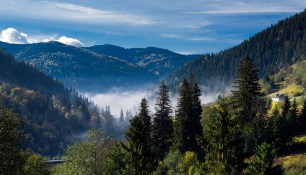 Carpathian region in danger due to deforestation - UN