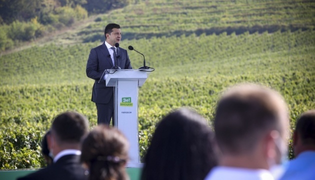 Zelensky names three most promising industries in Zakarpattia region