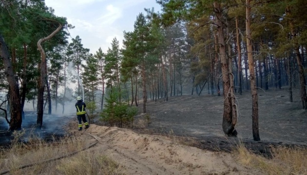 На Луганщині ліквідували лісову пожежу