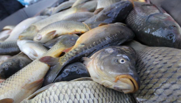 Kraschnitz, Poland, a large plastic fish indicates a state fish