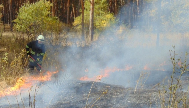 Лісова пожежа на Луганщині: евакуюють жителів двох сіл