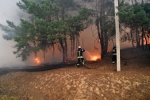 Un violent feu ravage la forêt dans la région de Louhansk, au moins 5 personnes ont péri